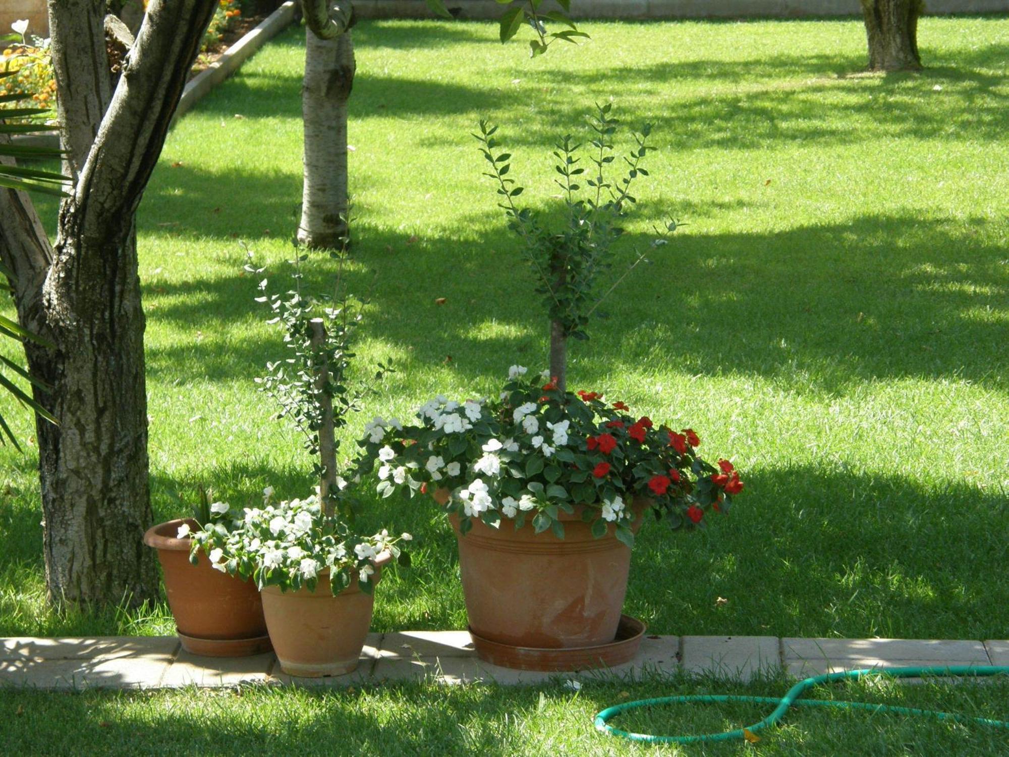 Villa Slavica 1 Vodice Exteriér fotografie