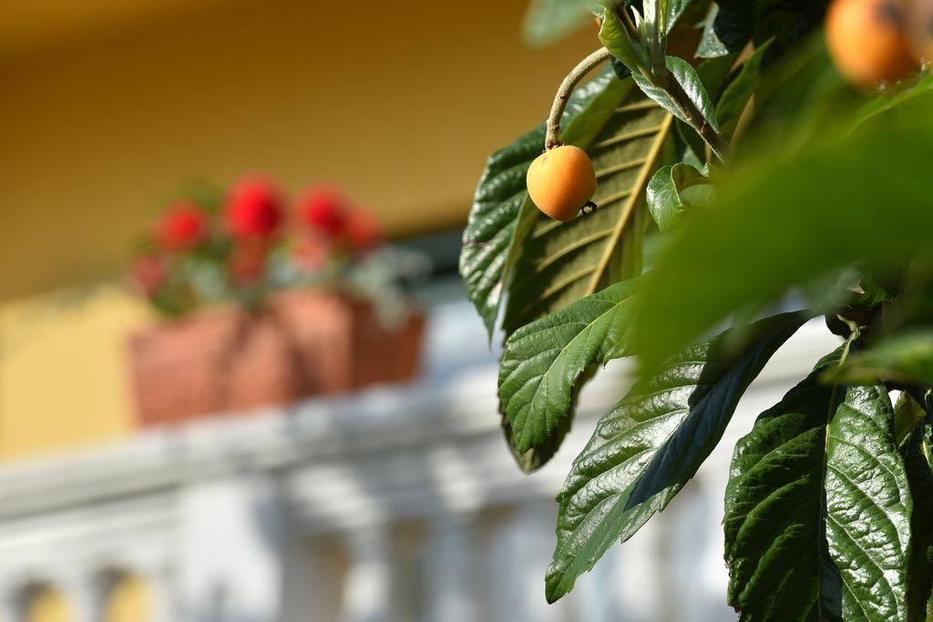 Villa Slavica 1 Vodice Exteriér fotografie
